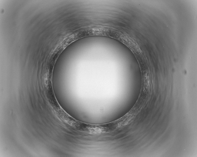 X0000087550698200705112122