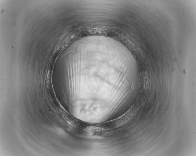 X0000087550699200705112122