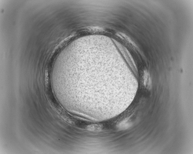 X0000087550700200705112122