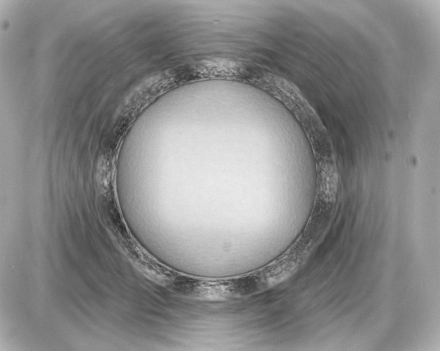 X0000087550701200705112122