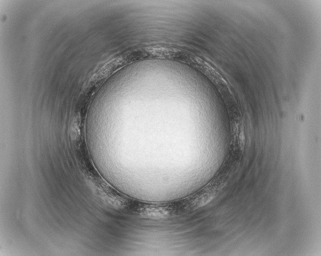 X0000087550702200705112122