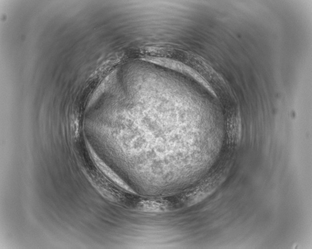 X0000087550703200705112121