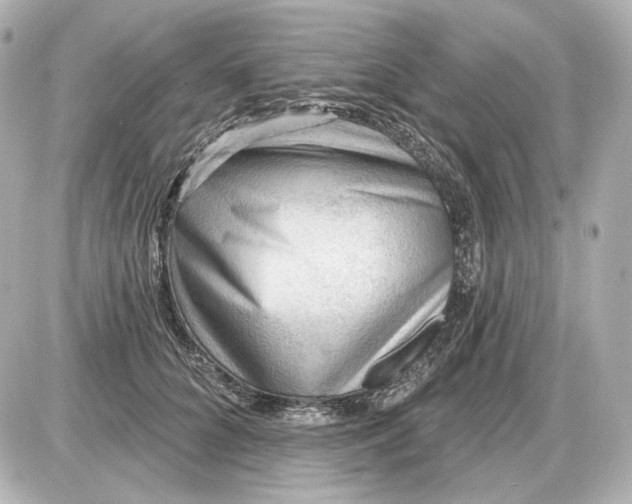 X0000087550704200705112121