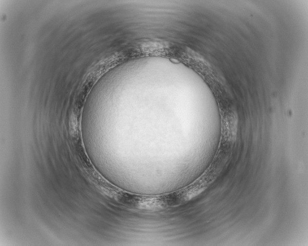 X0000087550705200705112121