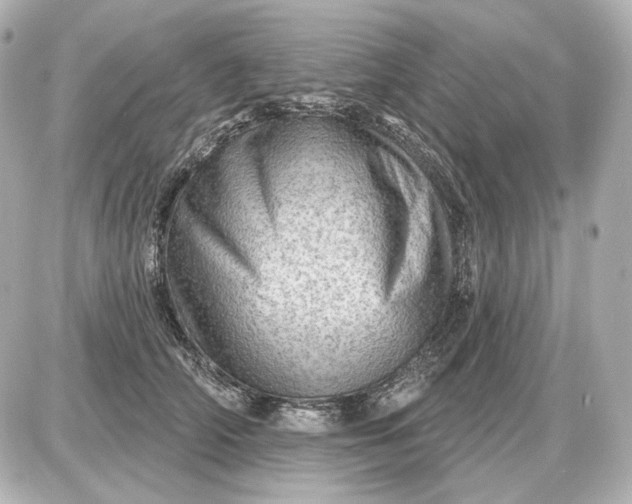 X0000087550706200705112121