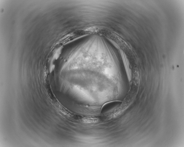 X0000087550707200705112121