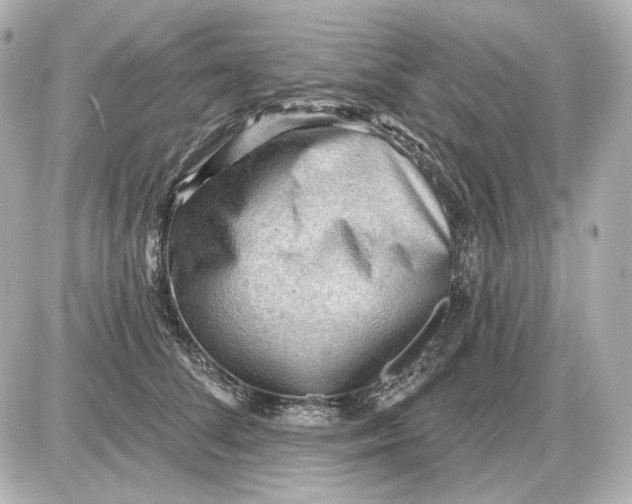 X0000087550708200705112121