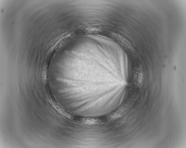 X0000087550710200705112121