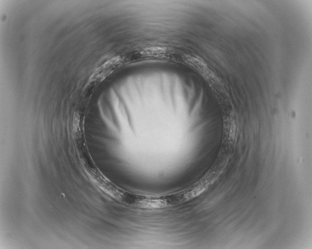 X0000087550711200705112121