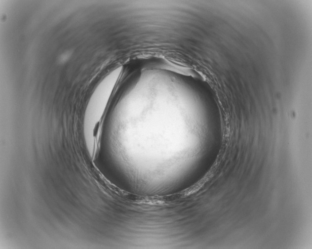 X0000087550712200705112121