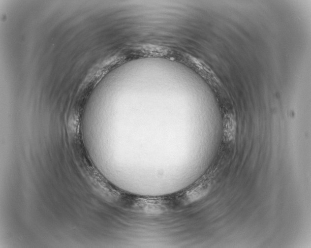 X0000087550713200705112121