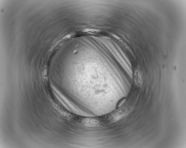 X0000087550714200705112121