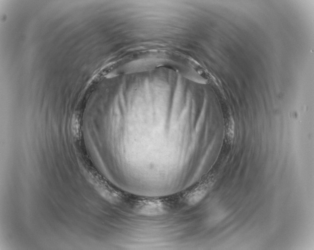 X0000087550715200705112121