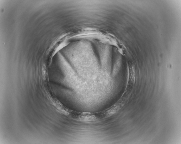 X0000087550716200705112121