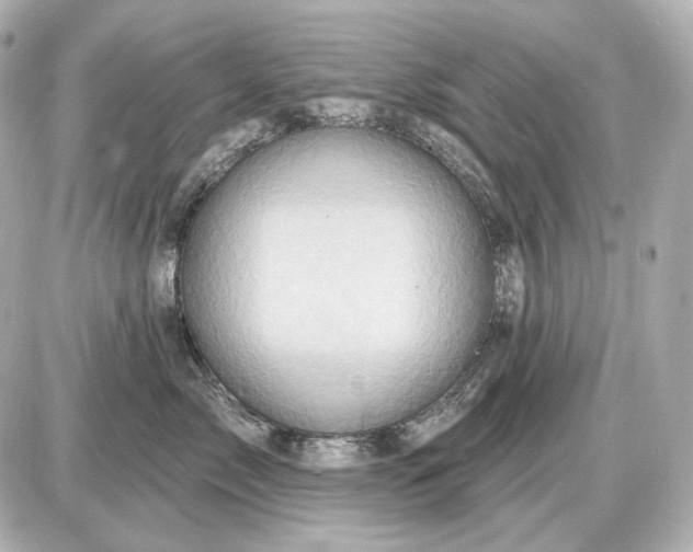 X0000087550717200705112121