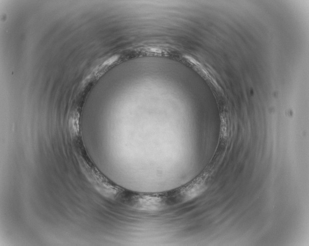 X0000087550718200705112121