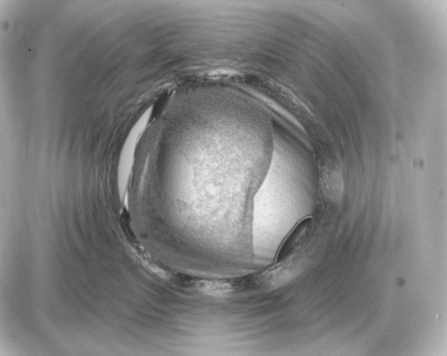 X0000087550719200705112121