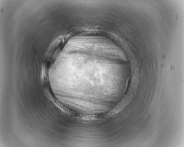 X0000087550720200705112121