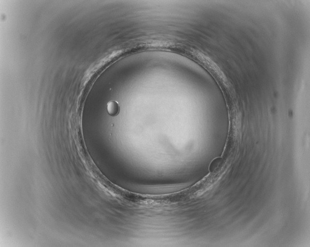 X0000087550721200705112120