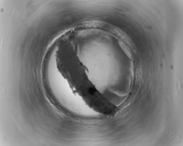 X0000087550722200705112120