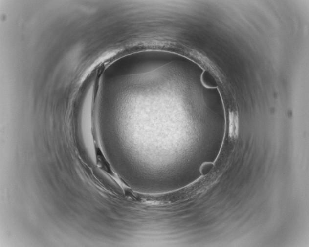 X0000087550723200705112120