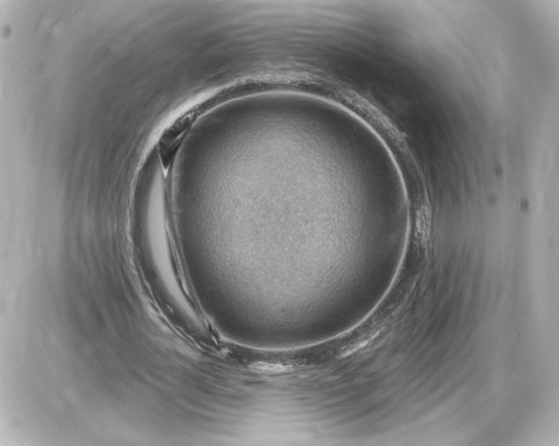 X0000087550724200705112120