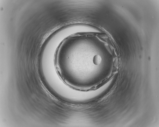 X0000087550725200705112120