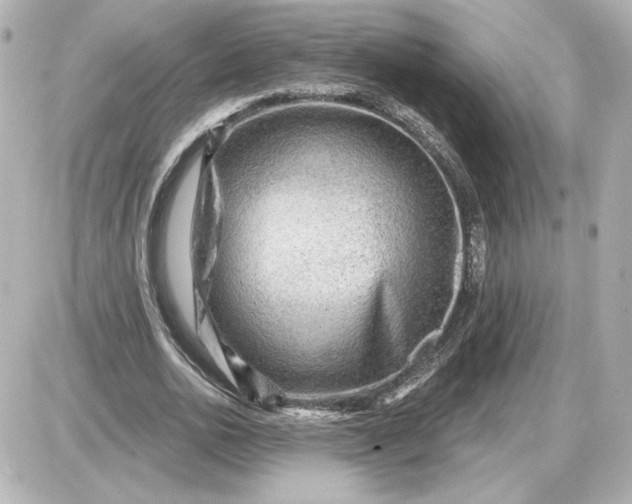 X0000087550726200705112121