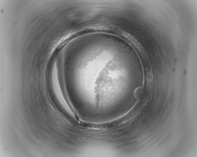 X0000087550727200705112121