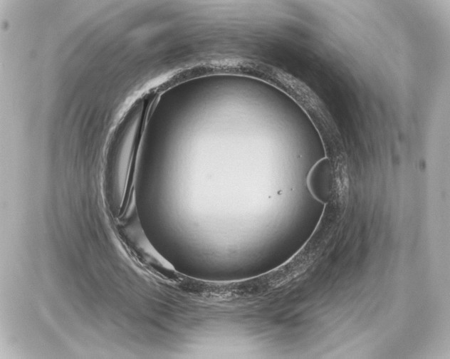 X0000087550728200705112121