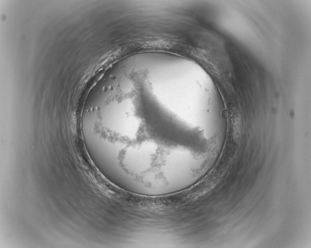 X0000087550729200705112121