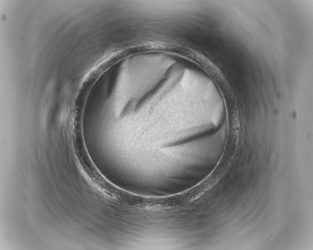 X0000087550730200705112121