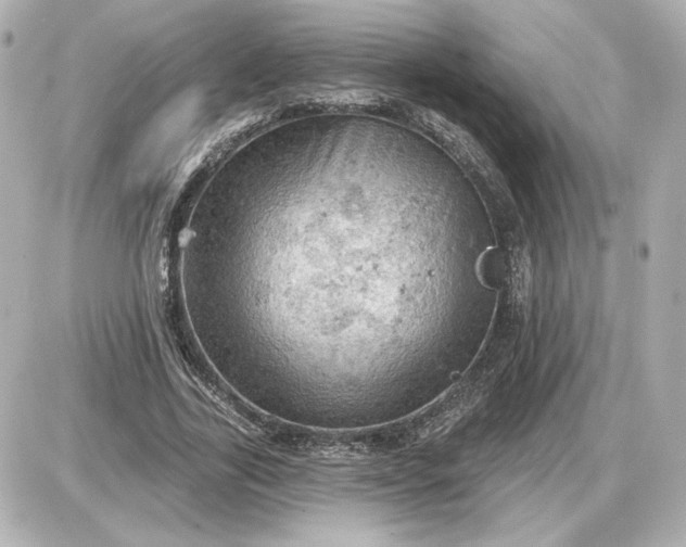 X0000087550731200705112121