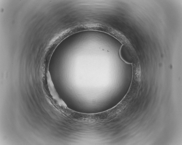 X0000087550732200705112121