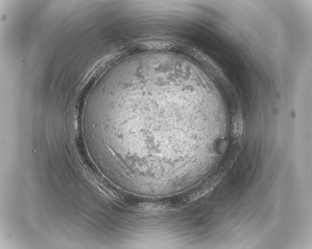 X0000087550733200705112121