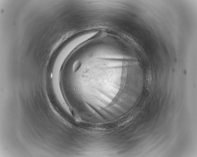 X0000087550734200705112121