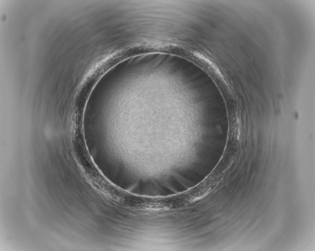 X0000087550736200705112121