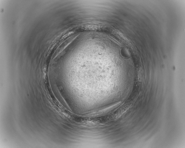 X0000087550737200705112121