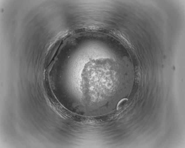 X0000087550738200705112121