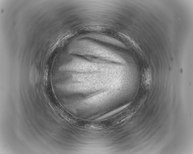 X0000087550739200705112121