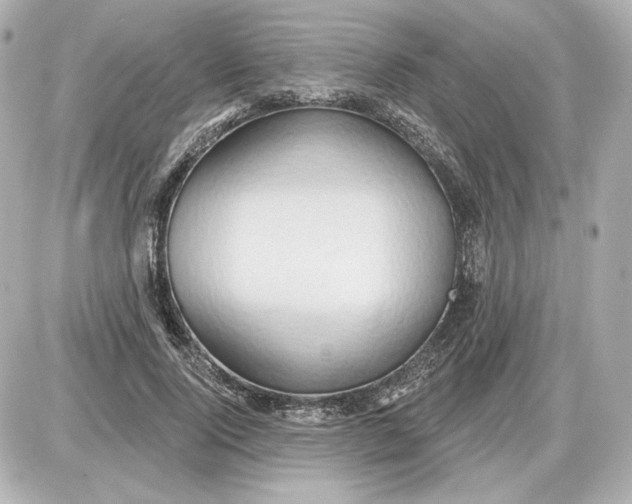 X0000087550740200705112121