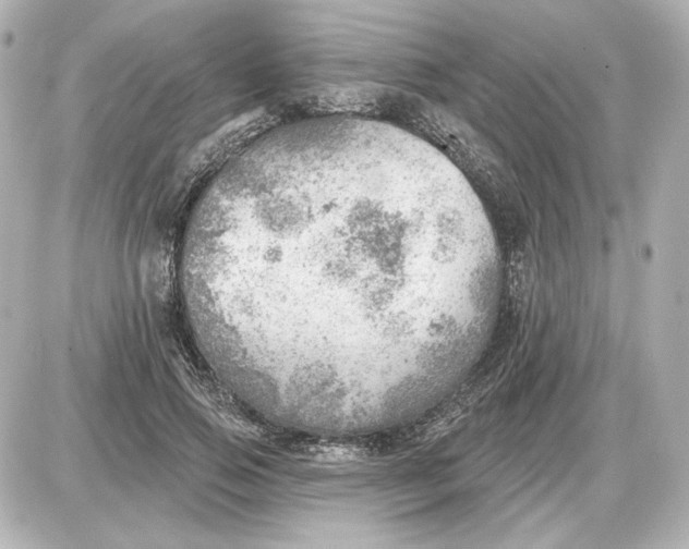 X0000087550741200705112121