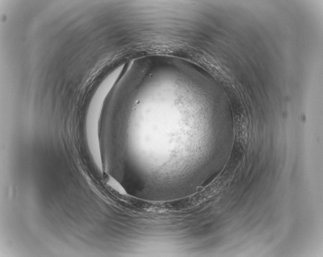 X0000087550742200705112121