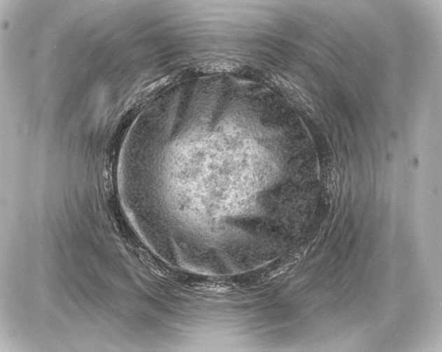 X0000087550743200705112121