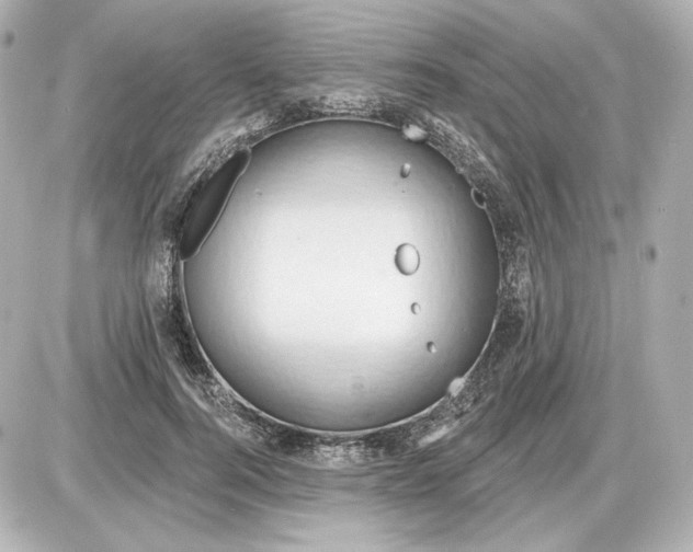 X0000087550744200705112121