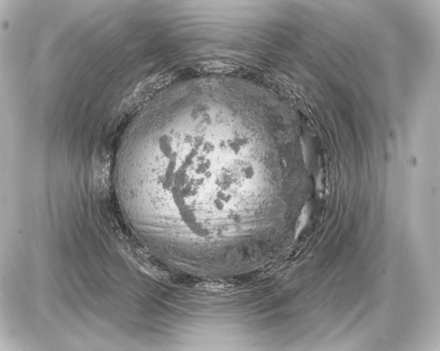 X0000087550745200705112121