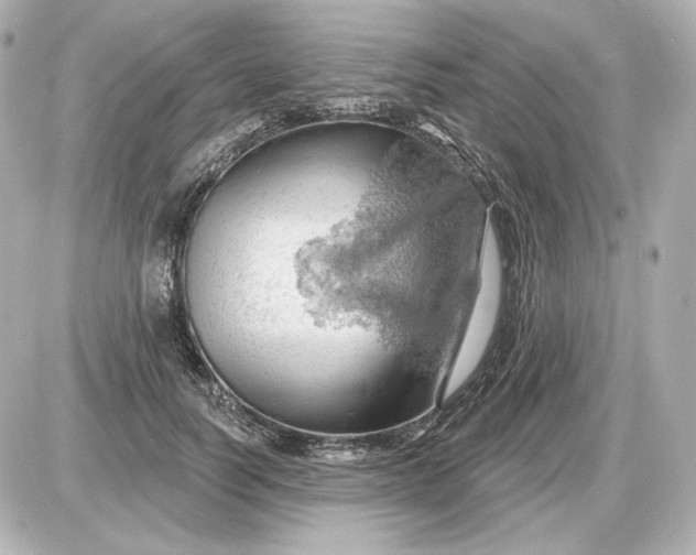 X0000087550746200705112121