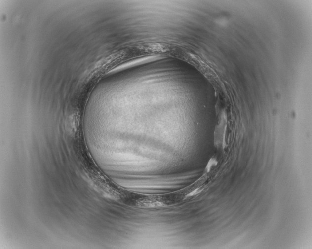 X0000087550747200705112121