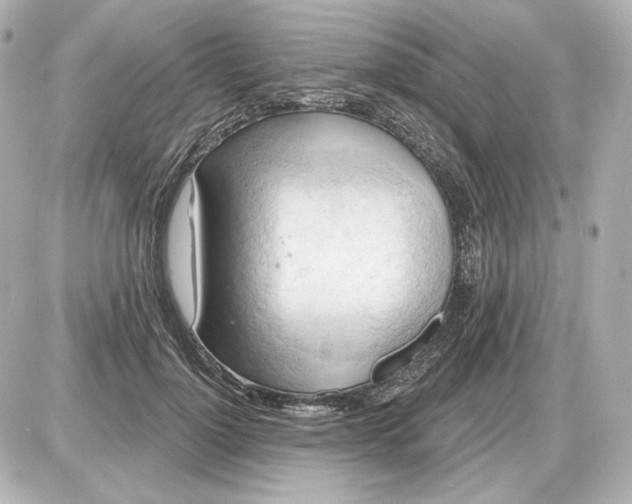 X0000087550748200705112121