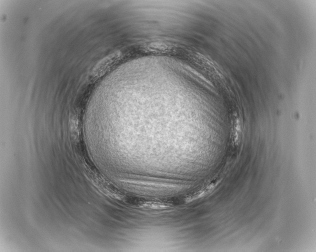 X0000087550749200705112121